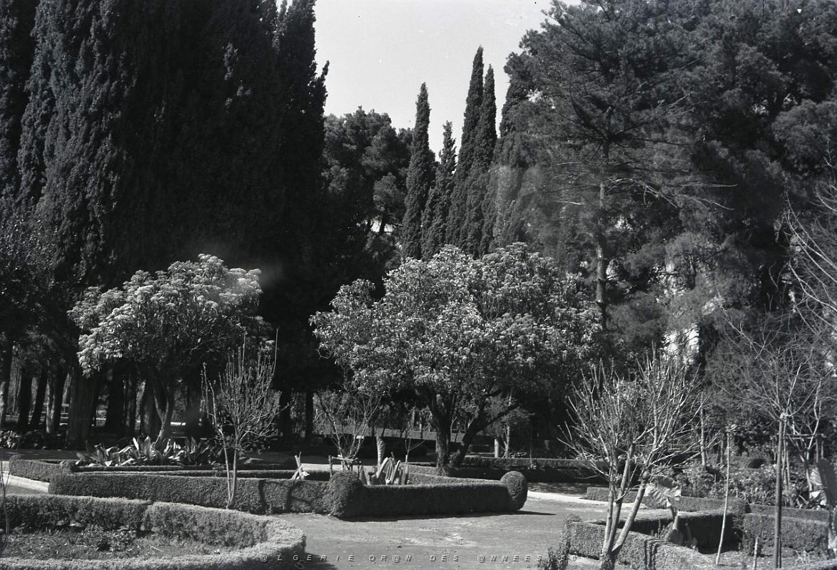 Tlemcen 502- Jardin public COLLECTION DES AMIS DE ND DE SANTA CRUZ.jpg